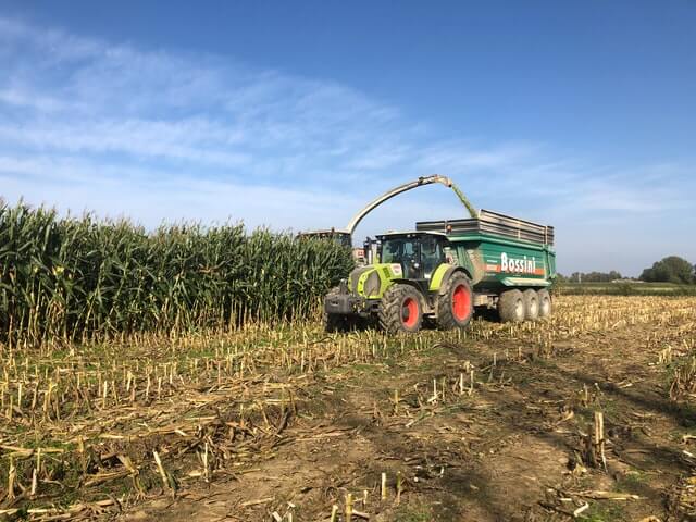 agricoltura
