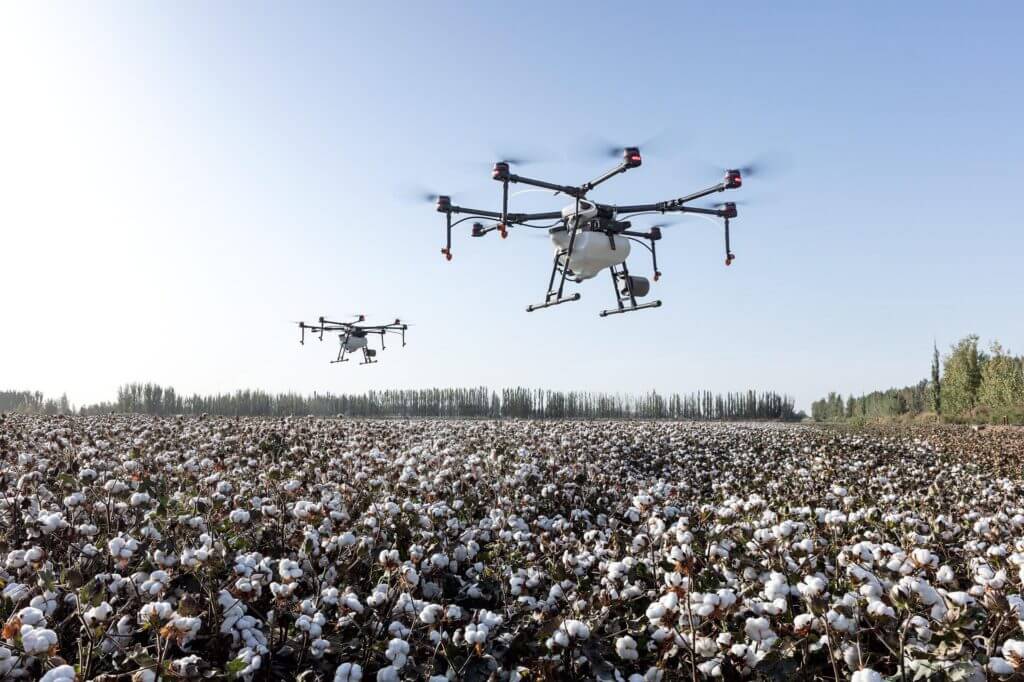 agricoltura