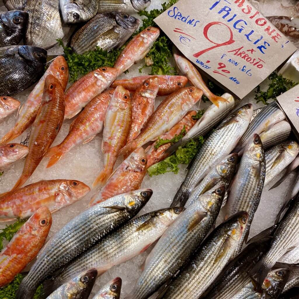 Pesca