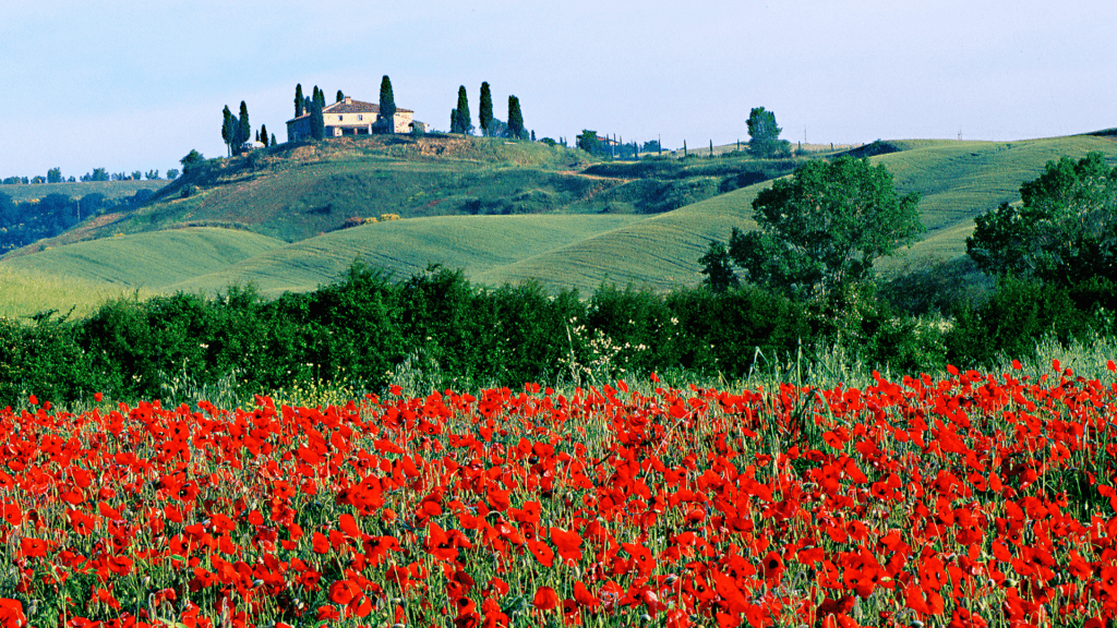 agriturismi