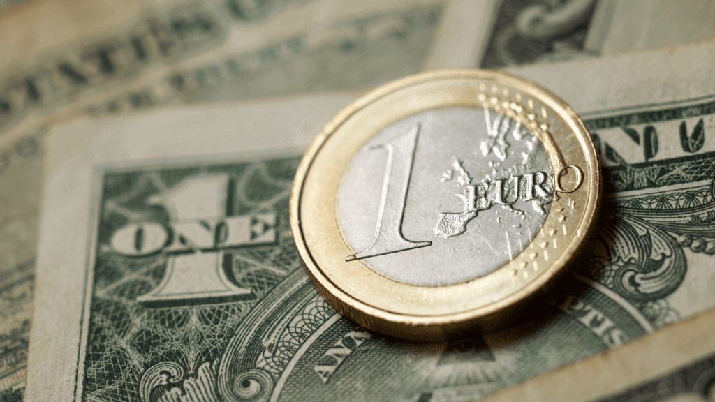 Euro in caduta libera