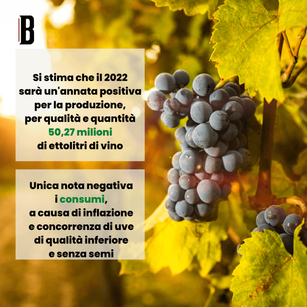 produzione vino ortofrutta