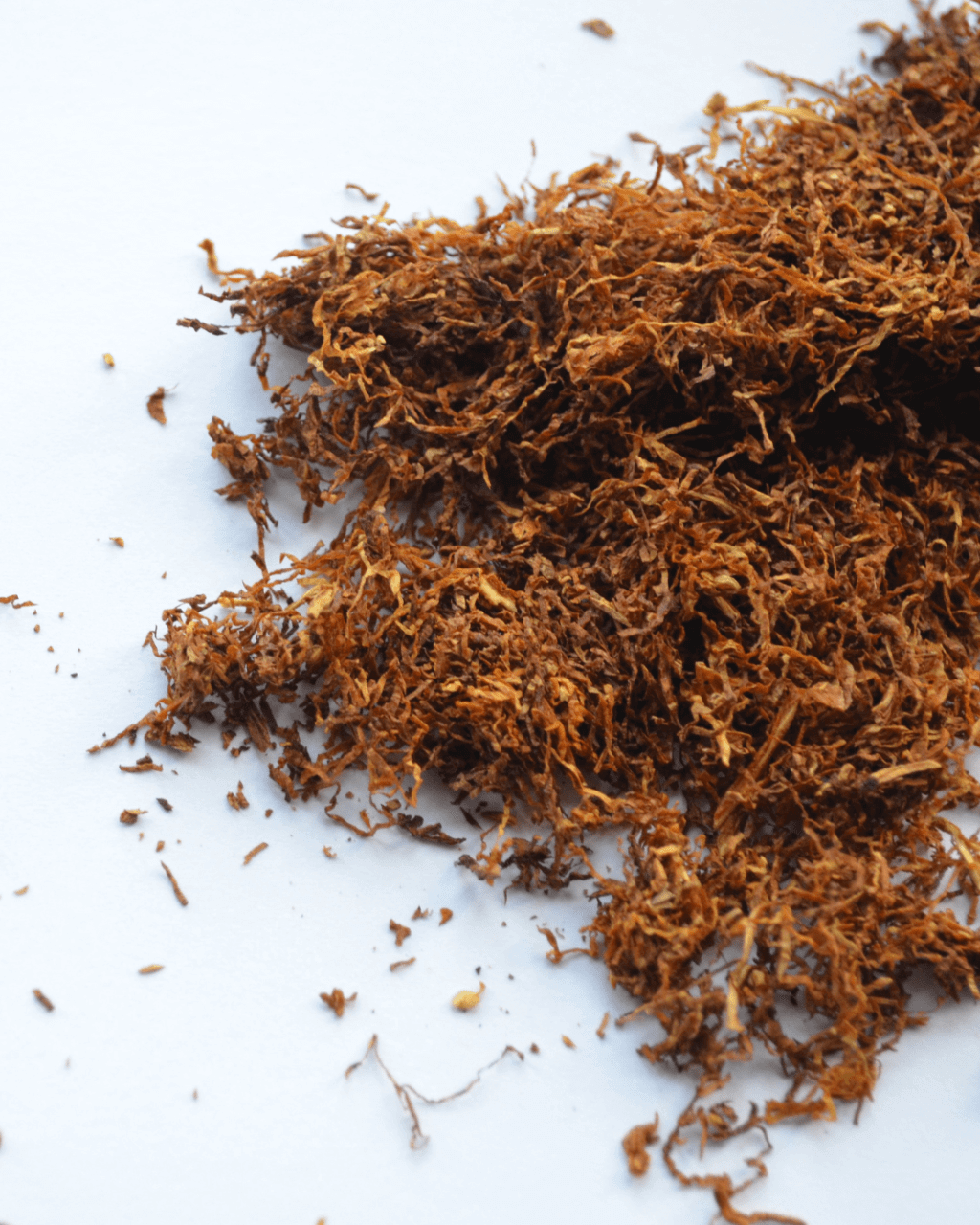 tabacco