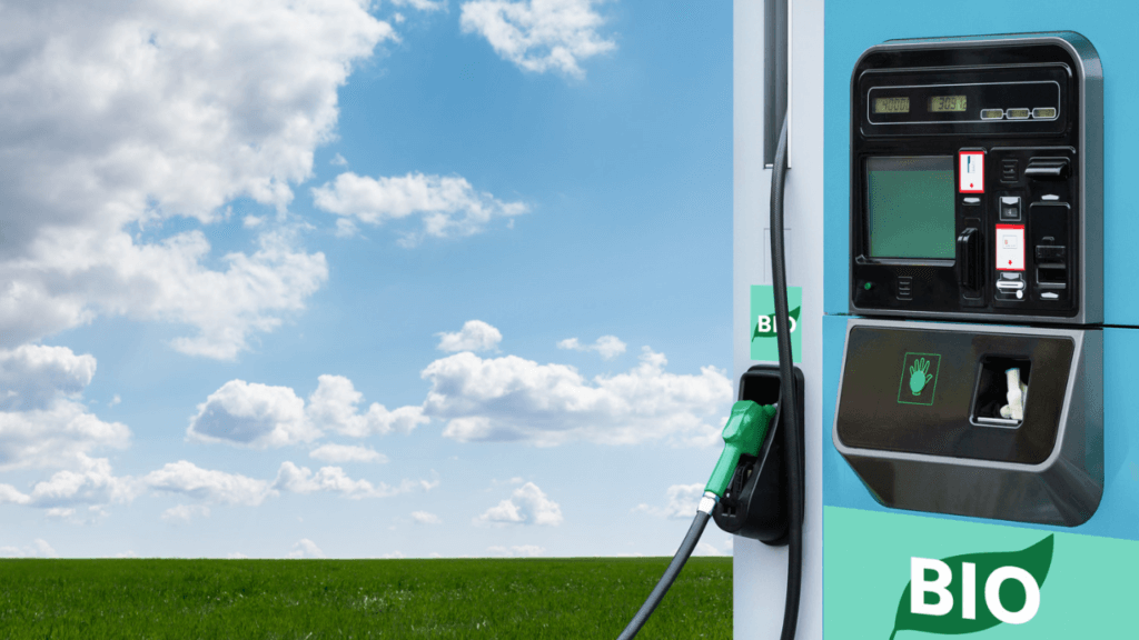 e-fuel biocarburanti